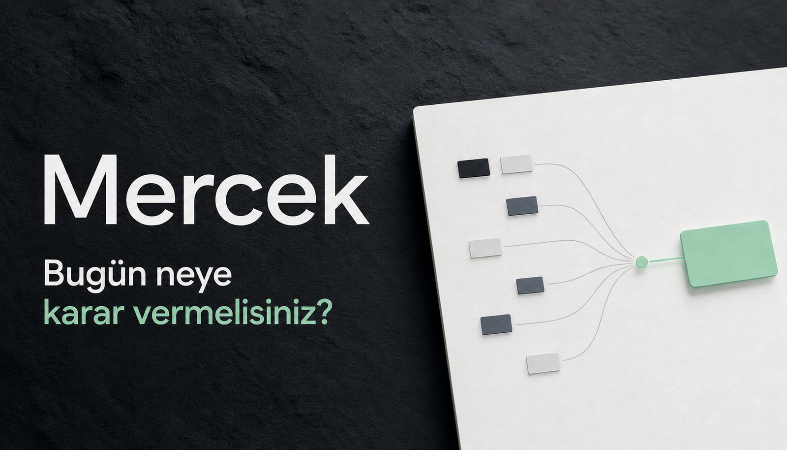 Mercek header image